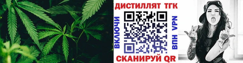 дарнет шоп  Щигры  Дистиллят ТГК THC oil 